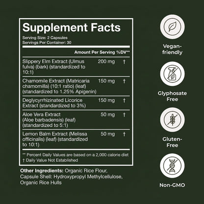 Terra Health Essentials Acid Relief - Daily Digestive Support Supplement for Gut Health & Balanced Digestion - Lemon Balm, Slippery Elm, Aloe Vera, DGL Licorice - Plant-Based & Non-GMO - 60 Capsules