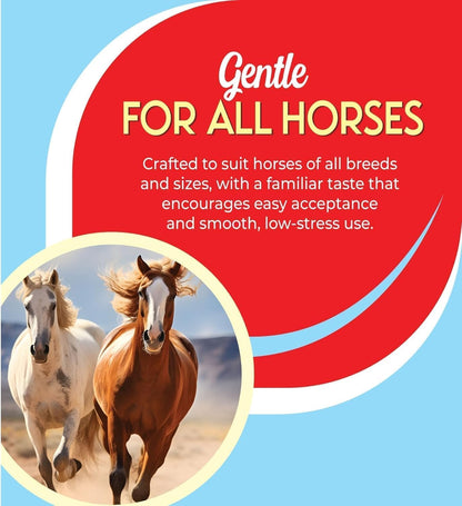Ivermectin Horse Paste 1.87% | Apple Flavor – 6.08g Syringe for Equine Use Only Up to 1250 LB