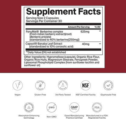 The Absorption Company Berberine, 60 Capsules, Enhanced Absorption | Bioavailable & Sustained Release, Liposomal, Stack with WLP-1