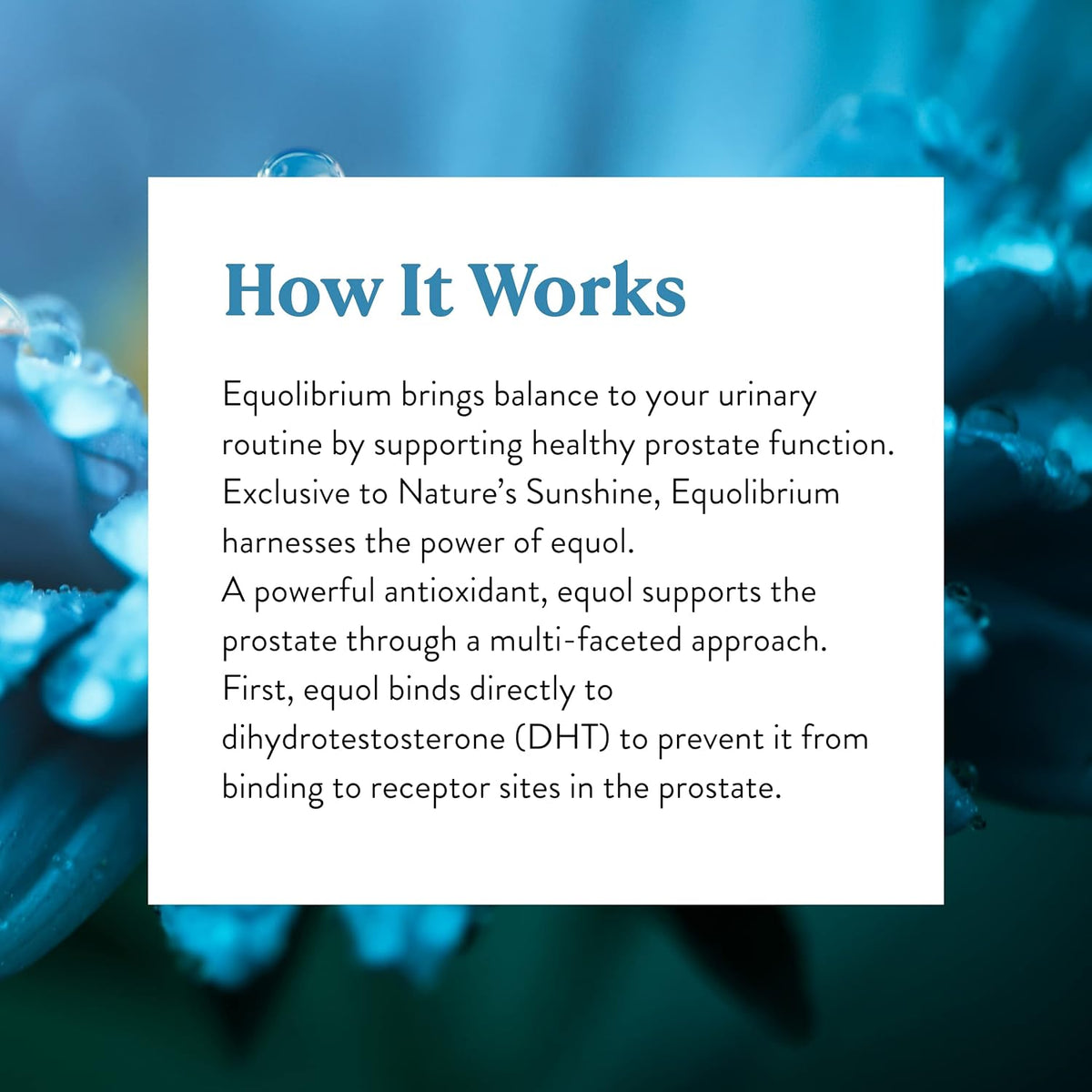 Nature's Sunshine Equolibrium, 60 Capsules