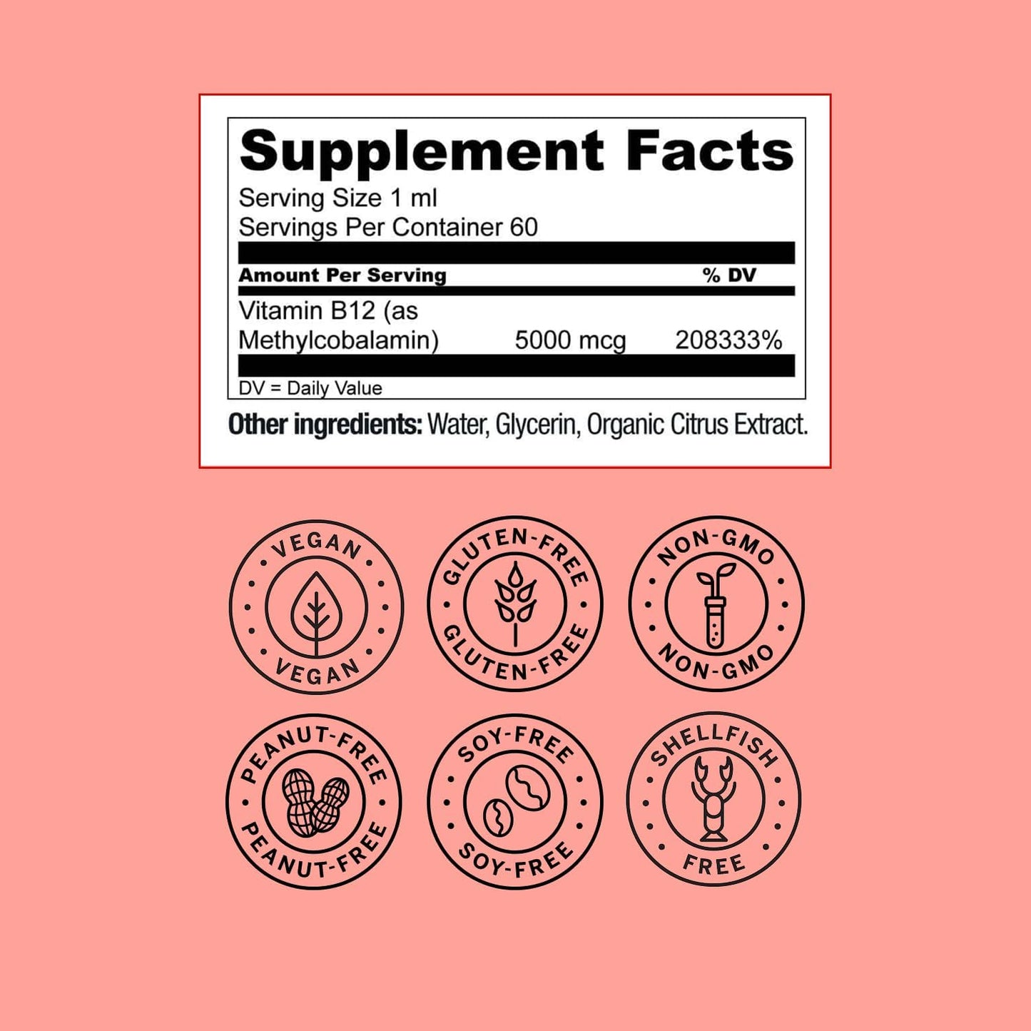Live Conscious Vegan Vitamin B12 Sublingual Liquid Drops | Methylcobalamin Max Strength B12 5000mcg Formula | Vegan B 12 Vitamin Support Energy | Promote Memory & Aid Immune System | 60 Serving