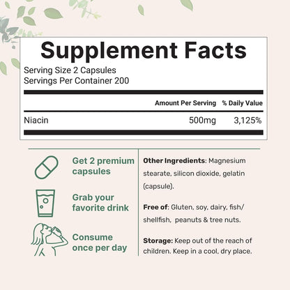 Micro Ingredients Niacin 500mg Per Serving, 400 Capsules | Flush Free B3 Vitamins | Double Strength Essential B Vitamin Supplement | Skin Care Health & Energy Support | Non-GMO, Gluten Free