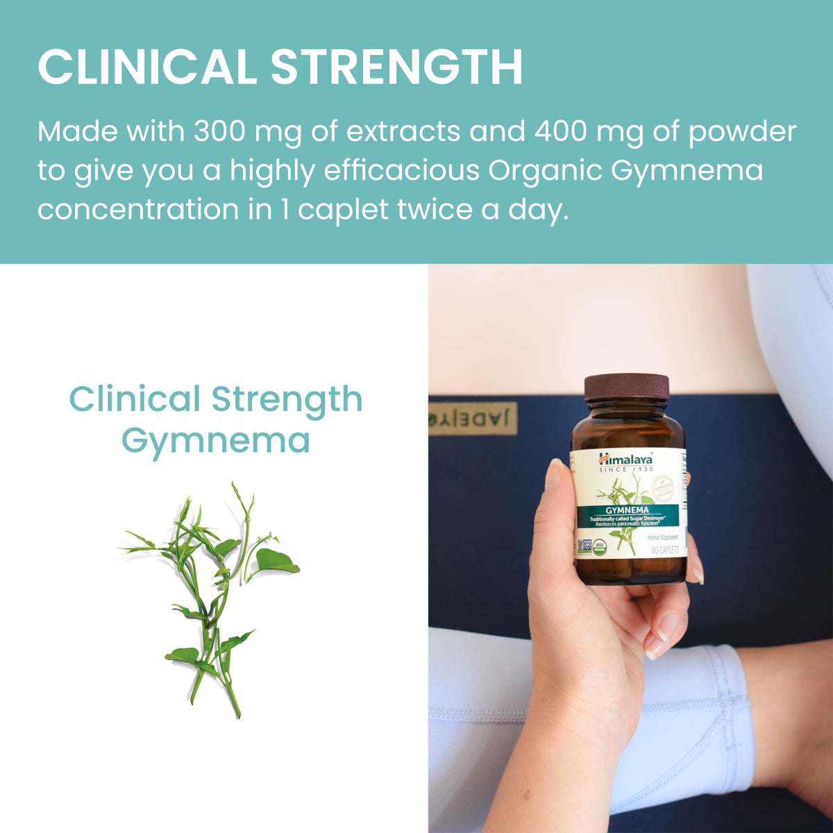 Himalaya USDA Organic Gymnema Sylvestre Supplement, 700mg, 60 Caplets