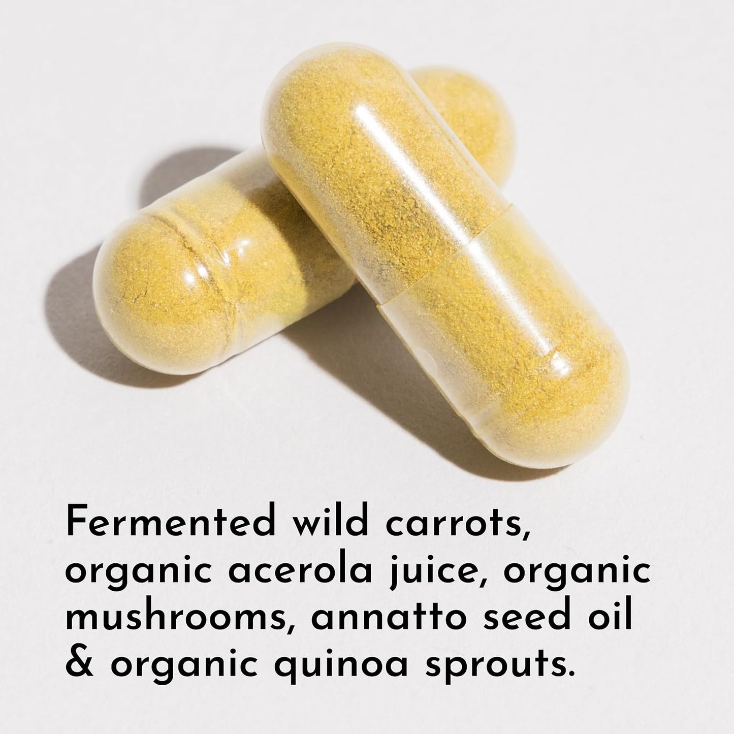 JUST INGREDIENTS Multivitamin - Plant-Based for Muscle & Immune Support - 60 Capsules
