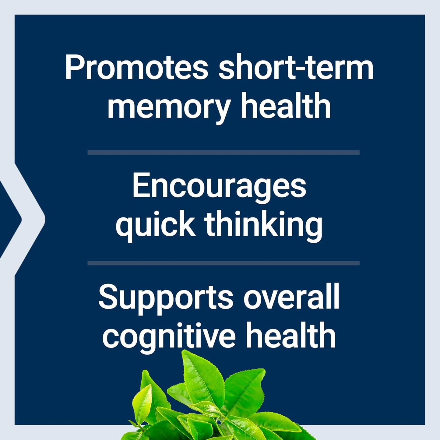 Neuro-Mag Magnesium L-Threonate, Memory Health, Quick Thinking, Cognitive Health Support, Vegetarian, 90 Vegetarian Capsules