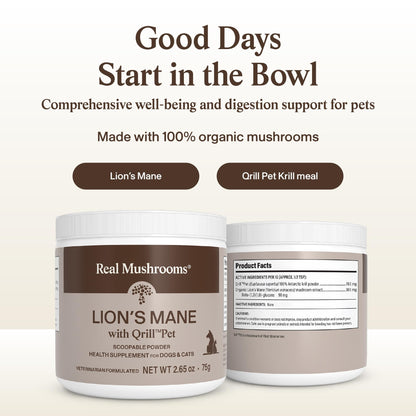 Real Mushrooms Lion’s Mane Pet Mushroom Supplement – Pet Wellbeing Capsules – for Cat & Dog Supplement & Vitamins – Support Mindful Routines – Organic, Vegan, Non-GMO, 120 Count