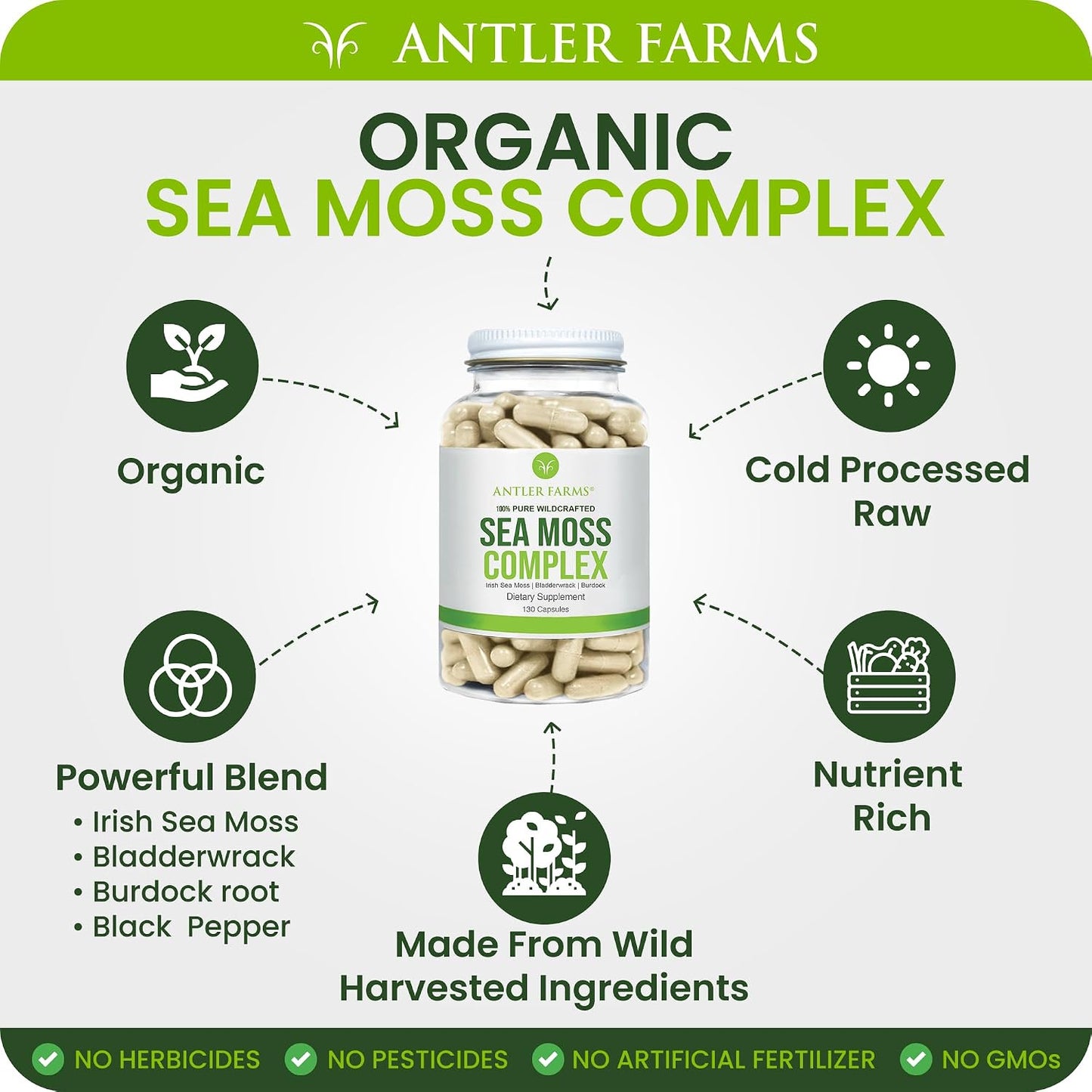 Antler Farms Sea Moss Complex - Bladderwrack, Burdock Root, 130 Capsules | Wildcrafted Irish Sea Moss, Bladderwrack, and Burdock Root, for Wellness, Vegan-Friendly, Gluten, Soy, and Dairy Free