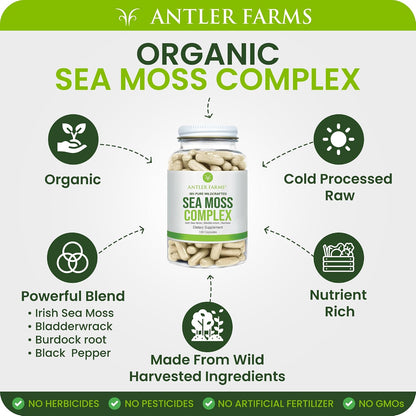 Antler Farms Sea Moss Complex - Bladderwrack, Burdock Root, 130 Capsules | Wildcrafted Irish Sea Moss, Bladderwrack, and Burdock Root, for Wellness, Vegan-Friendly, Gluten, Soy, and Dairy Free