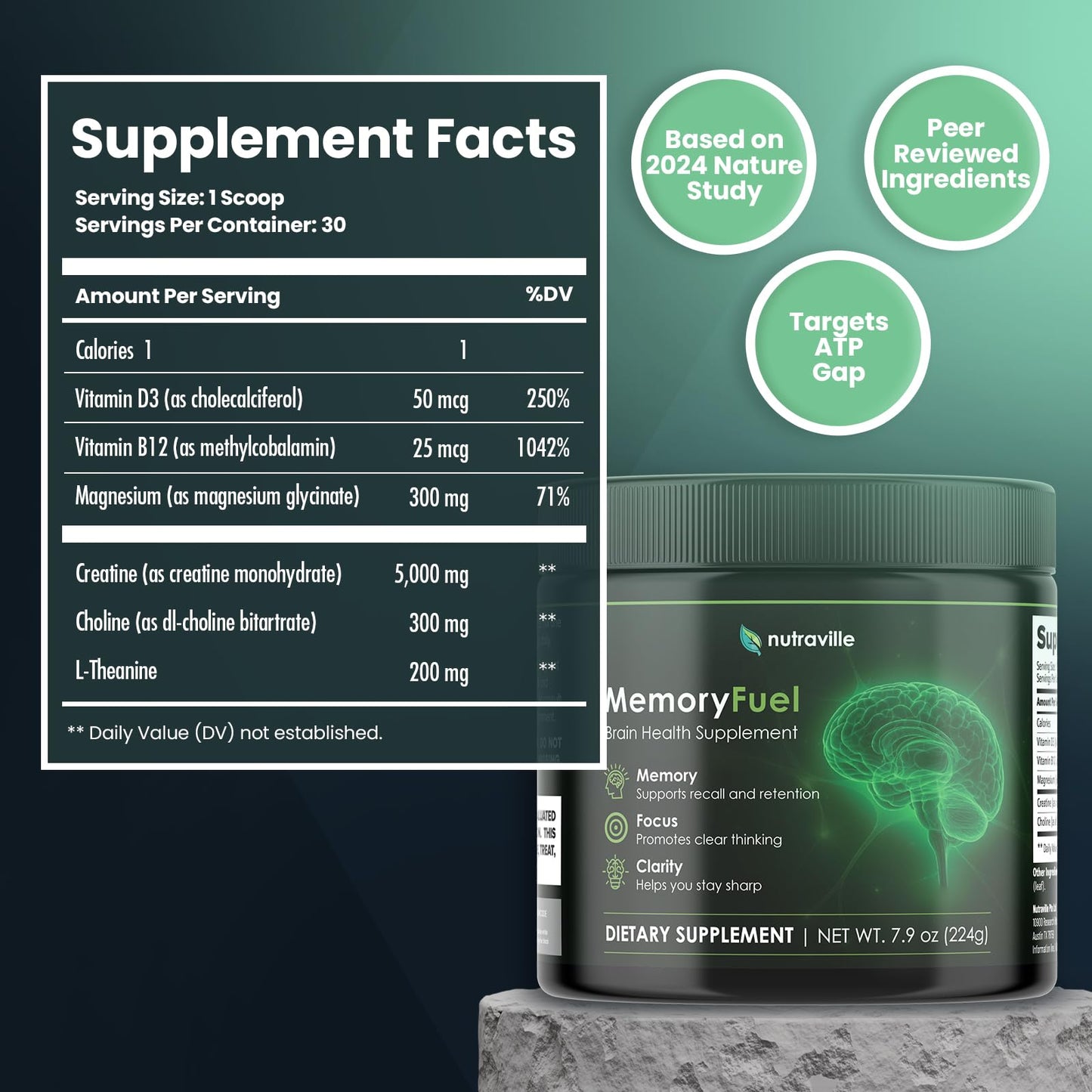 Memory Fuel Creatine Monohydrate Powder for Brain Energy & Focus | 5,000mg Micronized Creatine with L-Theanine, Choline & Magnesium, Cognitive Support for Adults, No Crash, 1 Scoop Daily