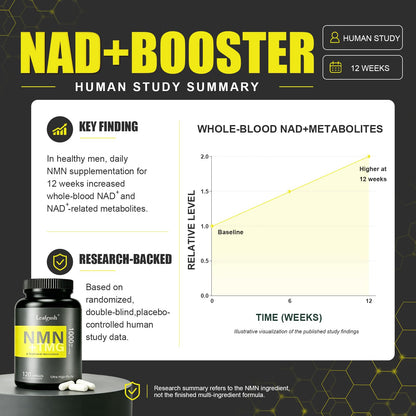 NMN Supplement 1000mg, NAD+ Precursor with TMG 300mg & Grape Seed Extract 100mg | Nicotinamide Mononucleotide for Cellular Energy, Daily Vitality & Healthy Aging Support