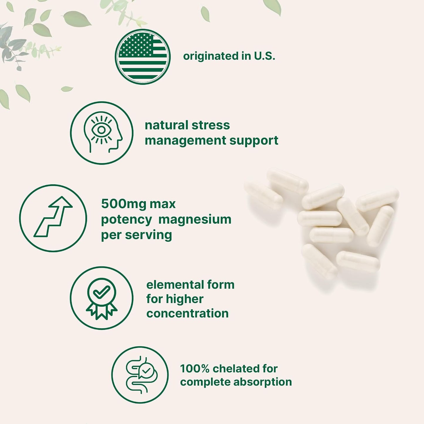 Micro Ingredients Magnesium Glycinate 500mg Per Serving, 240 Capsules | Potent Elemental Form, Chelated, High Absorption | Healthy Muscle, Bones, & Mood Support Supplement | Non-GMO