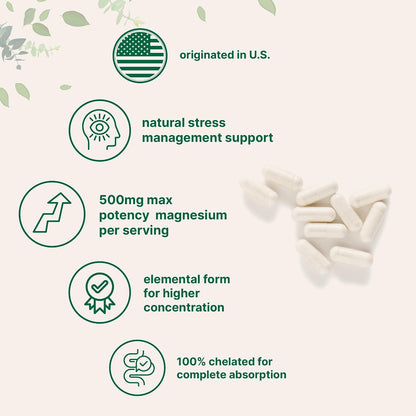 Micro Ingredients Magnesium Glycinate 500mg Per Serving, 240 Capsules | Potent Elemental Form, Chelated, High Absorption | Healthy Muscle, Bones, & Mood Support Supplement | Non-GMO