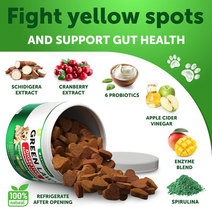 No Poo Chews for Dogs - Coprophagia Stool Eating Deterrent - Stop Eating Poop Treats with Probiotics, Digestive Enzymes, Pumpkin - Prevent Dog, Puppy from Eating Poop - Gut Health Support Supplement