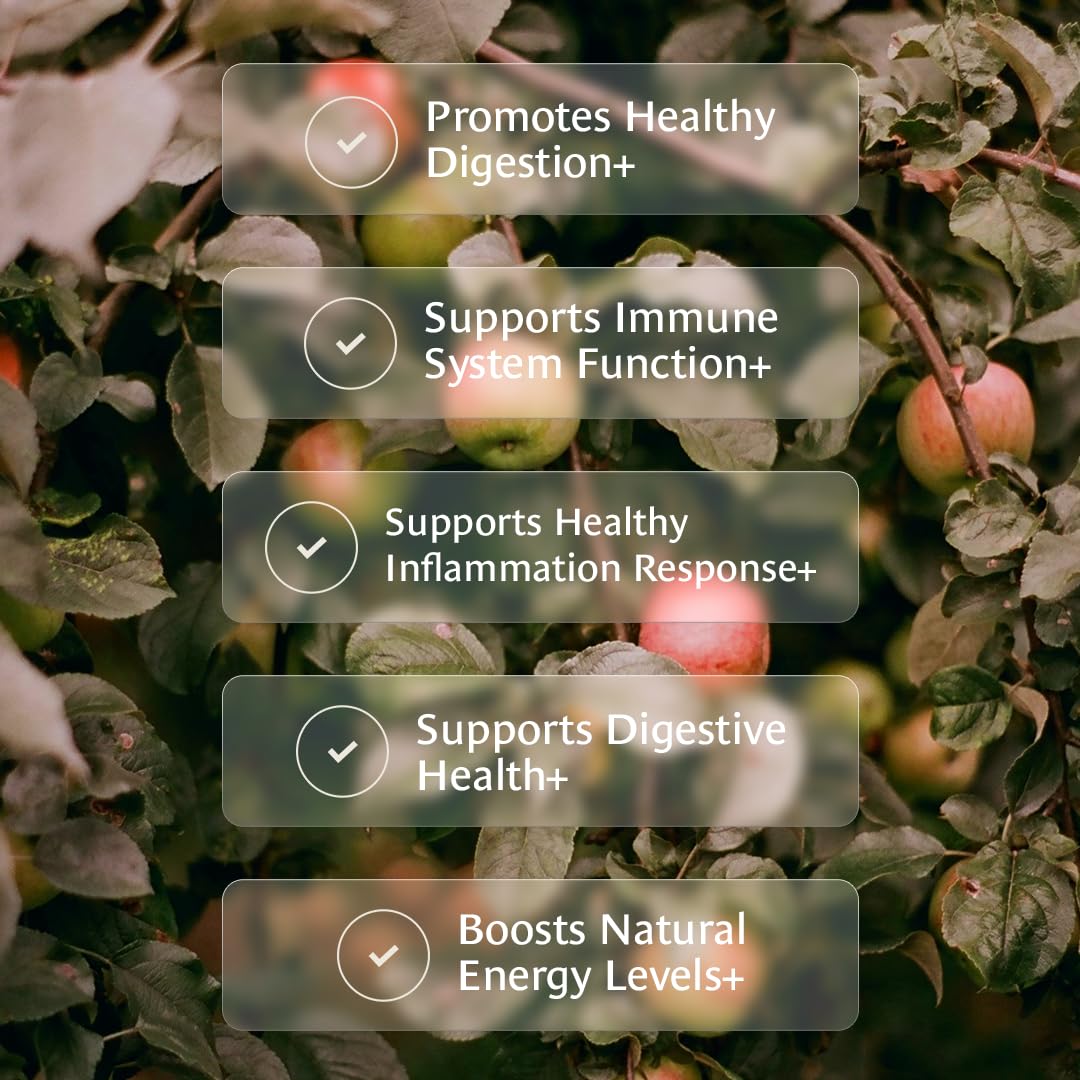 Healing Leaves, Longevity Blend Tea Bags- 30 Count | Biblically Inspired, 12 Fruit Tree Leaf Blend. Supports Digestion, Immune Function, Healthy Inflammation Response and Energy