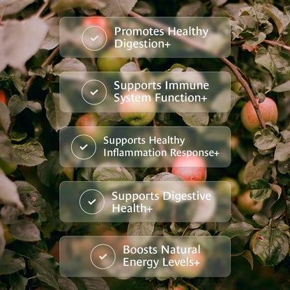 Healing Leaves, Longevity Blend Tea Bags- 30 Count | Biblically Inspired, 12 Fruit Tree Leaf Blend. Supports Digestion, Immune Function, Healthy Inflammation Response and Energy