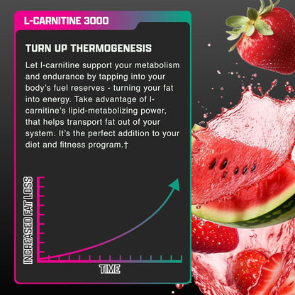 Nutrex Research L Carnitine 3000 - Clinically Dosed L-Carnitine Liquid for Energy, Metabolism & Muscle Recovery - Delicious Strawberry Watermelon - No Sugar, No Carbs, No Stimulants - 31 Servings