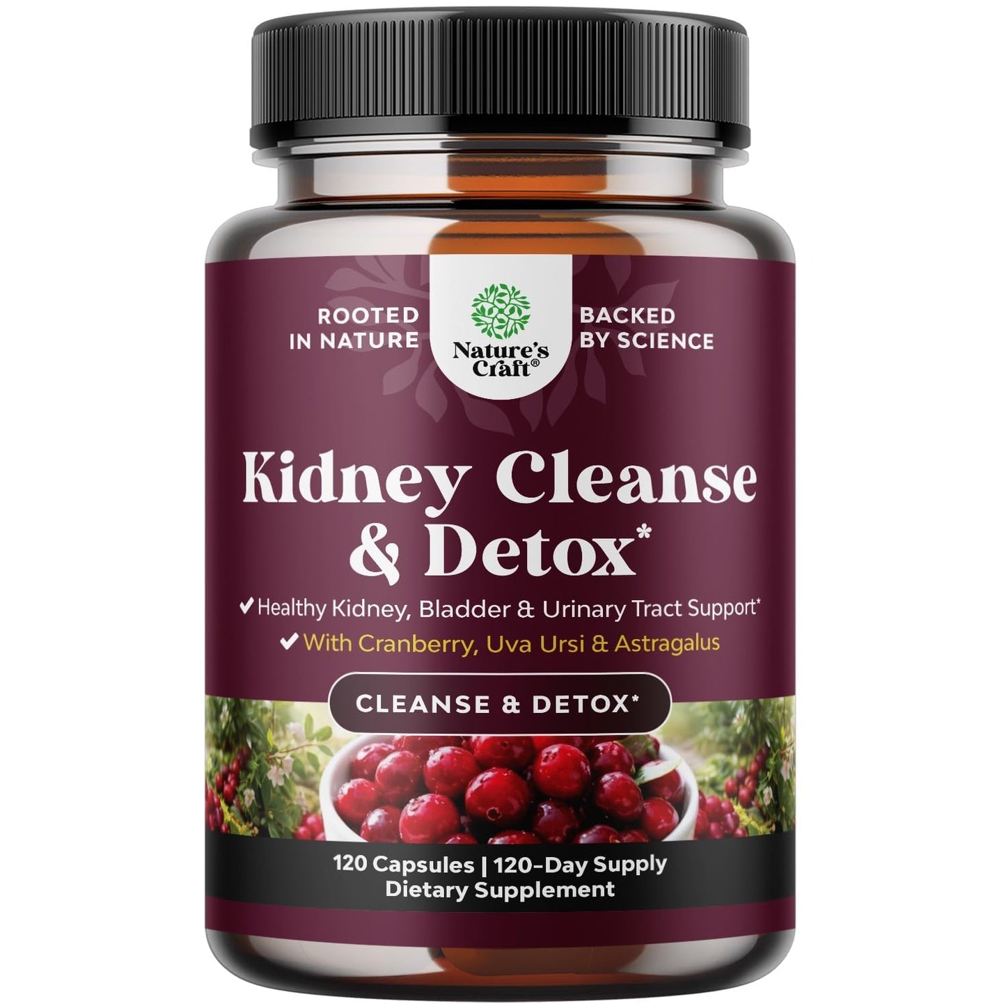 Advanced Kidney Support Supplement - Kidney Cleanse Detox & Repair Cranberry Extract Capsules with Uva Ursi, Stinging Nettle & Astragalus for Kidney Health - Urinary Tract Health - 60 Count
