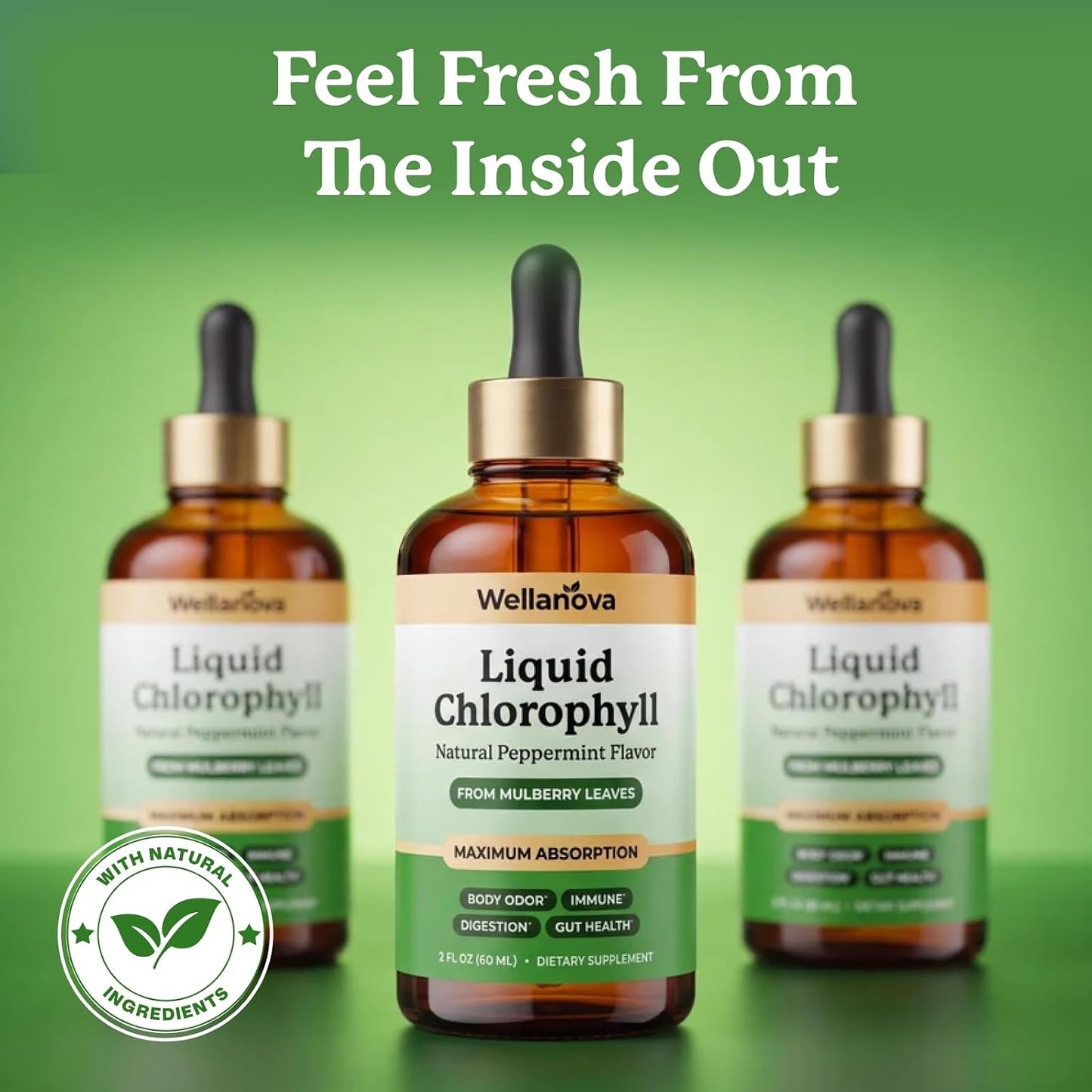 Chlorophyll Liquid Drops from Mulberry Leaf - Natural Peppermint for Detox, Internal Deodorizer and Immune Support - Maximum Absorption - 2 fl oz