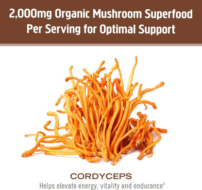 OM Mushroom Cordyceps Powder 7.05 oz (100 Servings) – Organic, Vegan, Non-GMO, Gluten-Free – Energy, Stamina & Endurance Support – Adaptogenic Superfood for Sports, Performance, Smoothies & Tea
