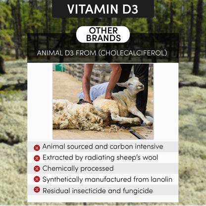 Arthur Andrew Medical, KD Ultra, Full Spectrum K2 & D3, 90 Capsules | Full Spectrum Vitamin K2 (MK4, MK6, MK7), Vitamin D3, & Lipase. Heart, Bone, And Circulation Support.