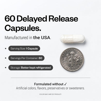 Supersmart - Bacillus Subtilis 3 Billion CFU per Day (High Potency) - Spore Probiotic Supplement | Non-GMO & Gluten Free - 60 DR Capsules