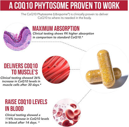 SoActive CoQ10® 250 mg: CoQ10 Phytosome with up to 9X Higher Absorption - Proven Cellular Delivery - Supports Cellular Energy Production (60 Capsules)