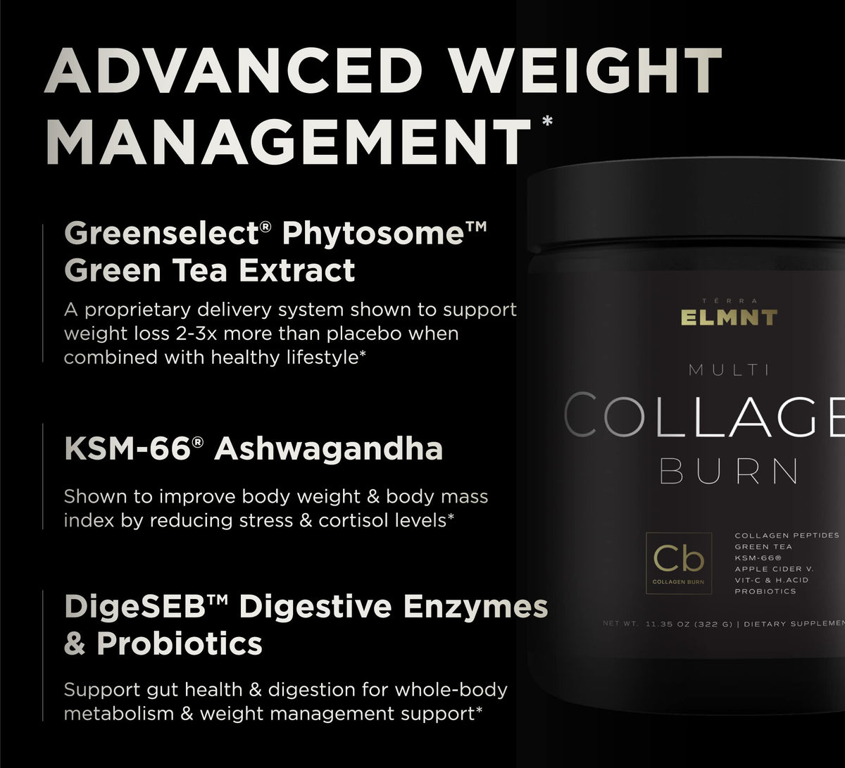 TERRA ELMNT Premium Chocolate Multi Collagen Powder for Women Weight Management