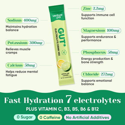 Venture Pal Sugar Free Hydration Packets + Gut Health Electrolytes Powder | Liquid Daily IV with 7 Electrolytes, 5 Vitamins, Probiotics & Fiber for Dehydration Relief and Gut Health Support