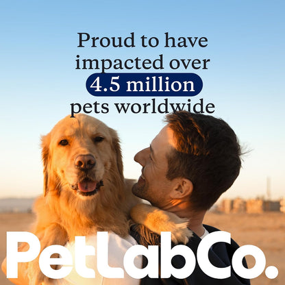 PetLab Co. Salmon Bites Dog Treats, Freeze-Dried, 3 Ounce | Single-ingredient, wild-caught salmon to support skin, coat and joint health in a grain-free reward