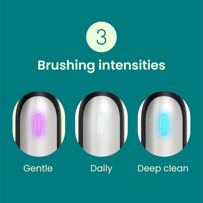 Quip Rev Oscillating Electric Toothbrush, Mirror Mount, Travel, Blue Stone