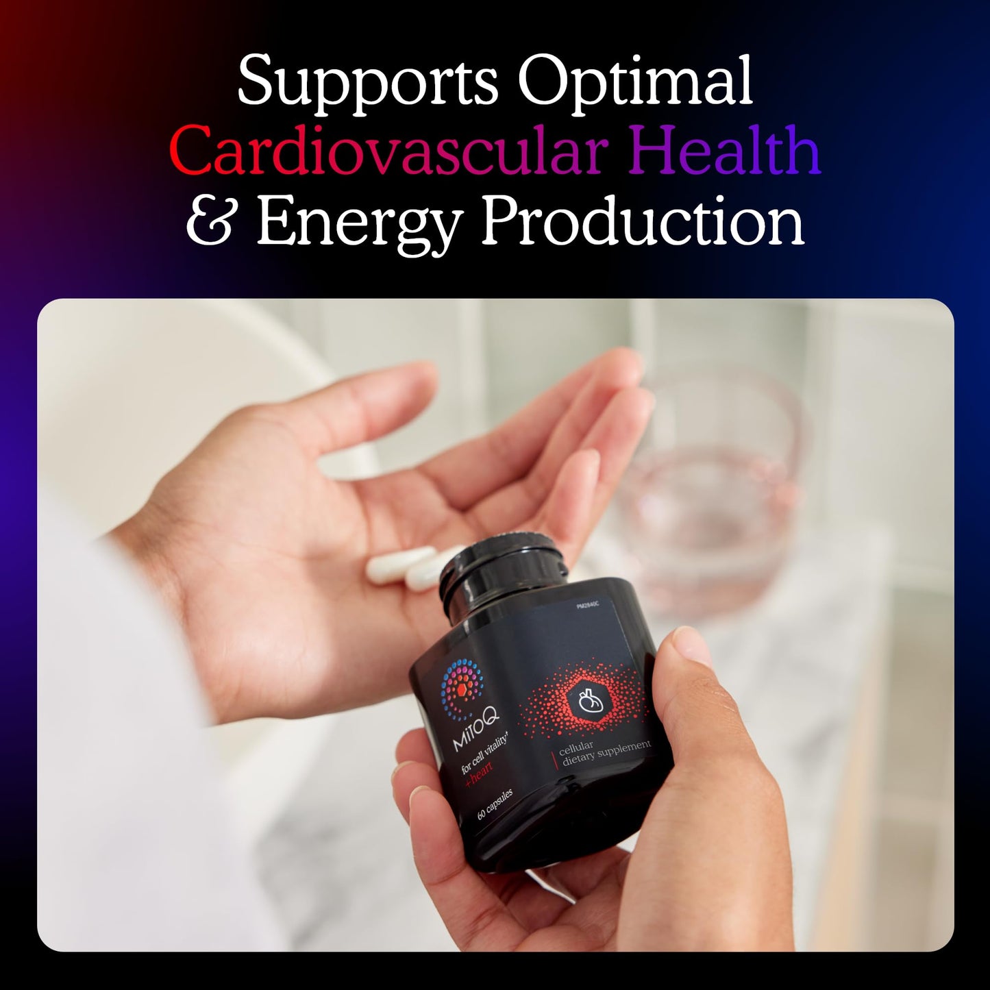 MitoQ +Heart Advanced CoQ10 Antioxidant - Heart Health Supplement with L-Carnitine, Magnesium, & Vitamin D3 - Supports Cardiovascular Health, Blood Flow, and Cellular Energy (60 Capsules)