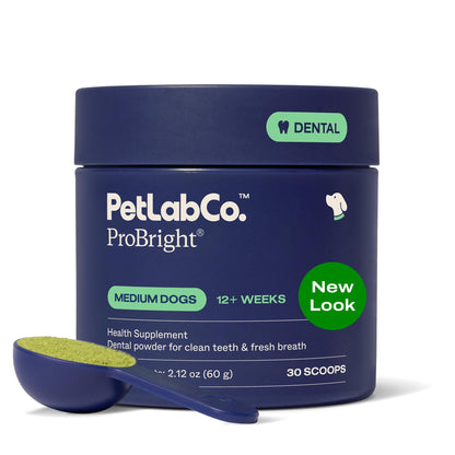 PetLab Co. ProBright Dental Powder for Small Dogs, 30 Scoops | Brown algae, green tea and probiotics in one easy daily scoop to support tartar and fresh breath