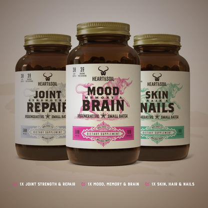 Sleep Stack - Includes Joint Strength & Repair, Skin, Hair & Nails, Mood Memory & Brain for Cognitive Function, Mobility, and Wellness