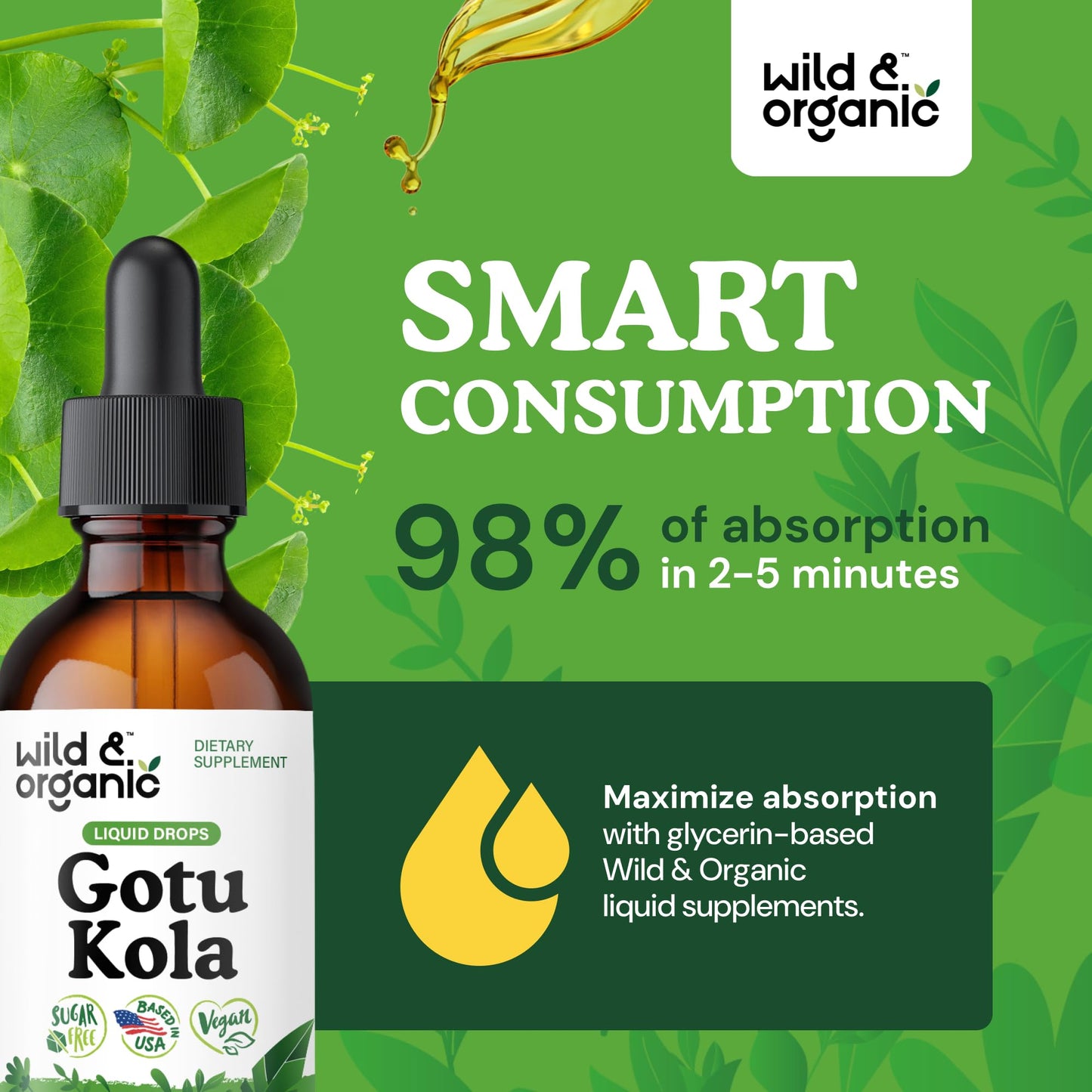 Wild & Organic Gotu Kola Extract Drops - Brain Support with Centella Asiatica Extract - Liquid Gotu Kola Supplement for Focus - Vegan, Sugar & Alcohol-Free Herb Tincture - 4 fl oz