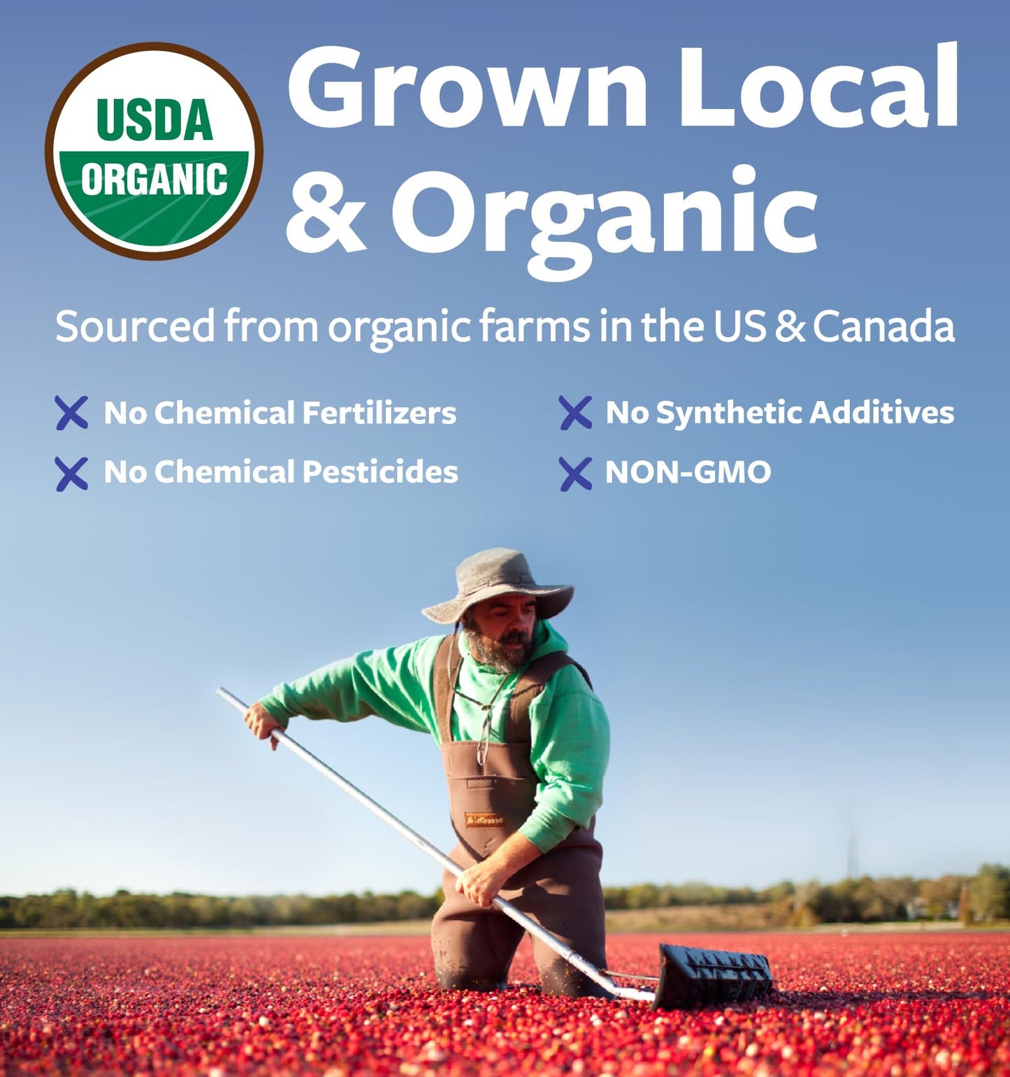 PURE CO USDA Organic Cranberry Concentrate Powder - Organic Cranberry Powder 500mg 50:1 Extract Per 1 Scoop Serving - Kidney Cleanse & Urinary Tract Support for Women - 100 Servings