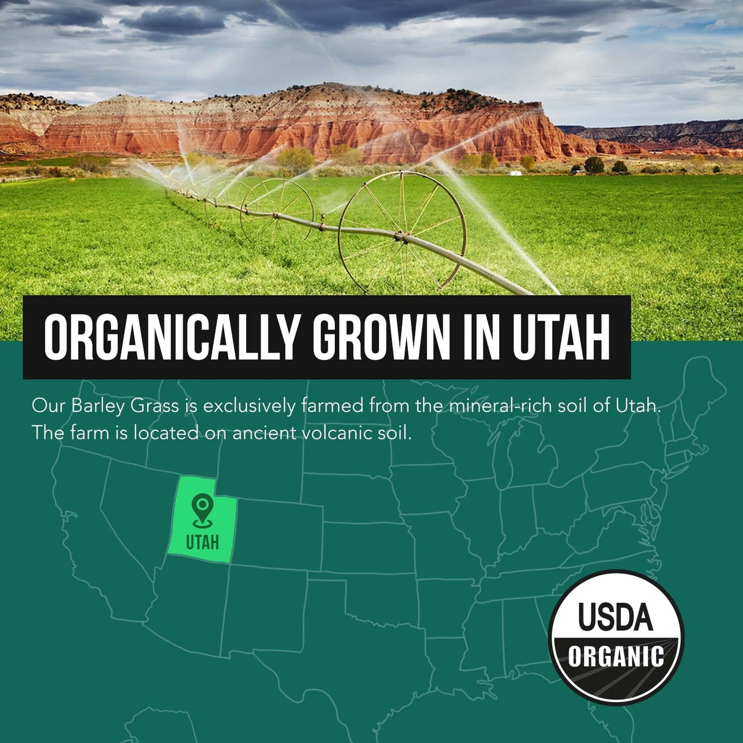 Organic Wheatgrass Juice Powder - Organic, Grown in Volcanic Soil of Utah - Raw BioActive Form, Cold-Pressed Then CO2 Dried, 20:1 Concentrate Juice Extract - Unflavored (5.3 oz – 60 Servings)