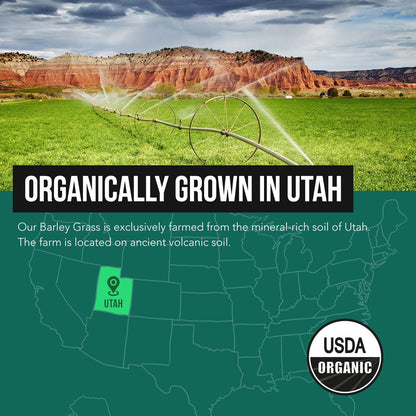 Organic Wheatgrass Juice Powder - Organic, Grown in Volcanic Soil of Utah - Raw BioActive Form, Cold-Pressed Then CO2 Dried, 20:1 Concentrate Juice Extract - Unflavored (5.3 oz – 60 Servings)