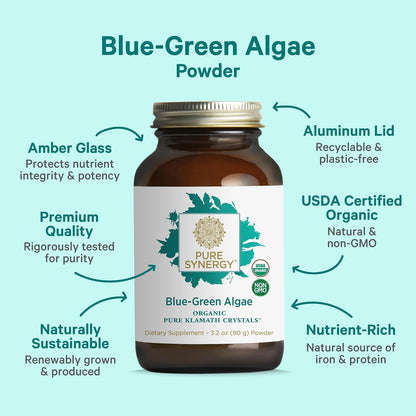 PURE SYNERGY Blue-Green Algae Powder | Superfood Powder with Chlorophyll | Organic AFA Blue Green Algae Supplement | Supports Energy, Mental Clarity, and Detoxification (3.2 oz.)