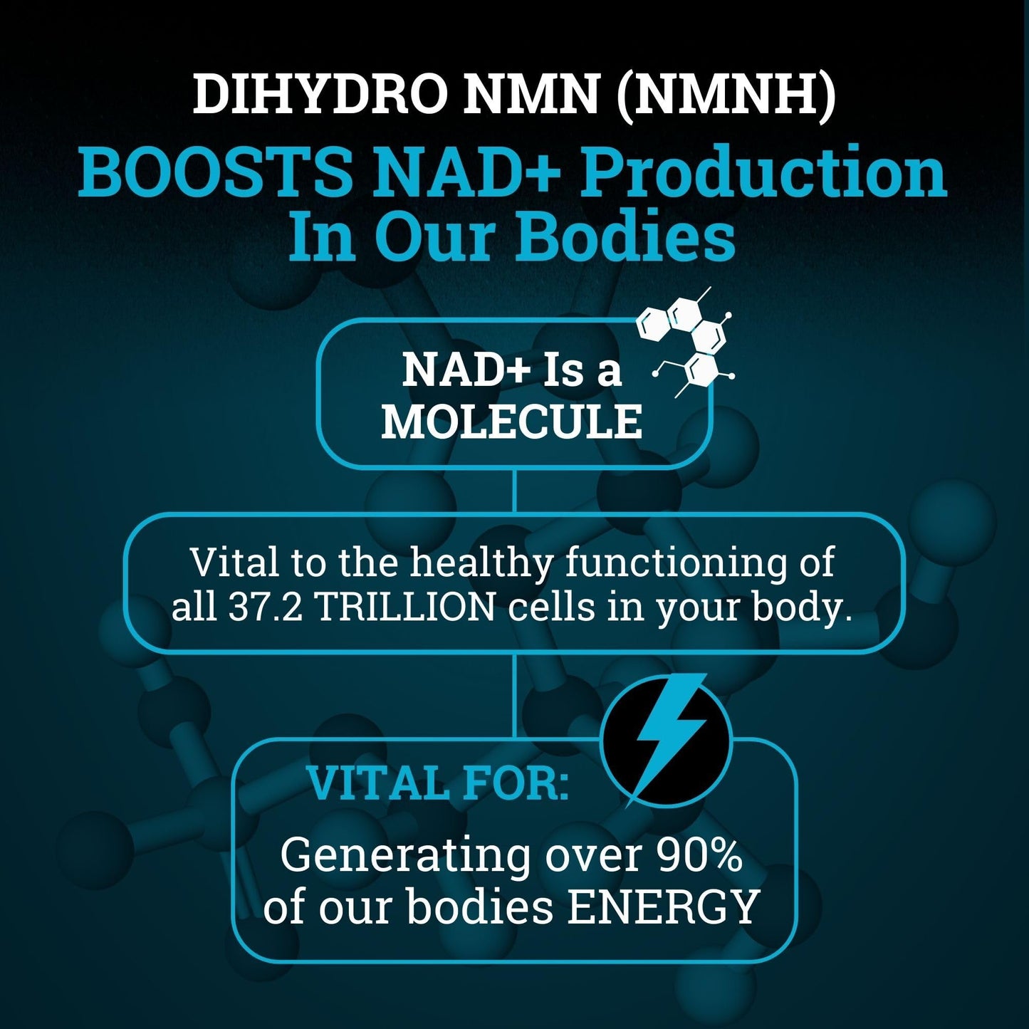 Black Forest NMN Supplements 1000mg (Nicotinamide Mononucleotide) 99% Pure, Stabilized Form, BioPerine® for Enhanced Bioavailability (60 Capsules) (NMN 1000mg per Serving) NAD Supplement for NAD