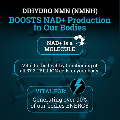 Black Forest NMN Supplements 1000mg (Nicotinamide Mononucleotide) 99% Pure, Stabilized Form, BioPerine® for Enhanced Bioavailability (60 Capsules) (NMN 1000mg per Serving) NAD Supplement for NAD