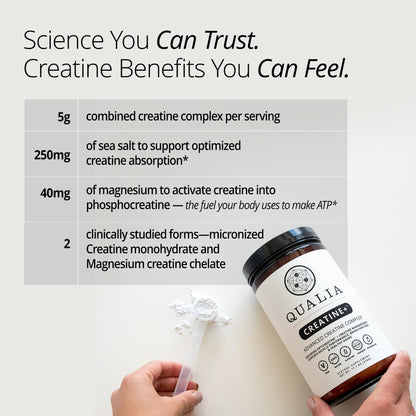 Qualia Creatine | Advanced Creatine Complex | 2 Sources + Magnesium | Optimized Absorption | Muscle Performance, Brain Function, & Healthy Aging (30 Servings)