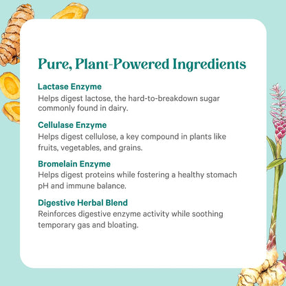 PURE SYNERGY Enzyme Power | Digestive Enzyme Supplement | Digestive Health Enzymes with Nattokinase, Bromelain, and Serrapeptase | for Digestive and Gut Health (90 Capsules)