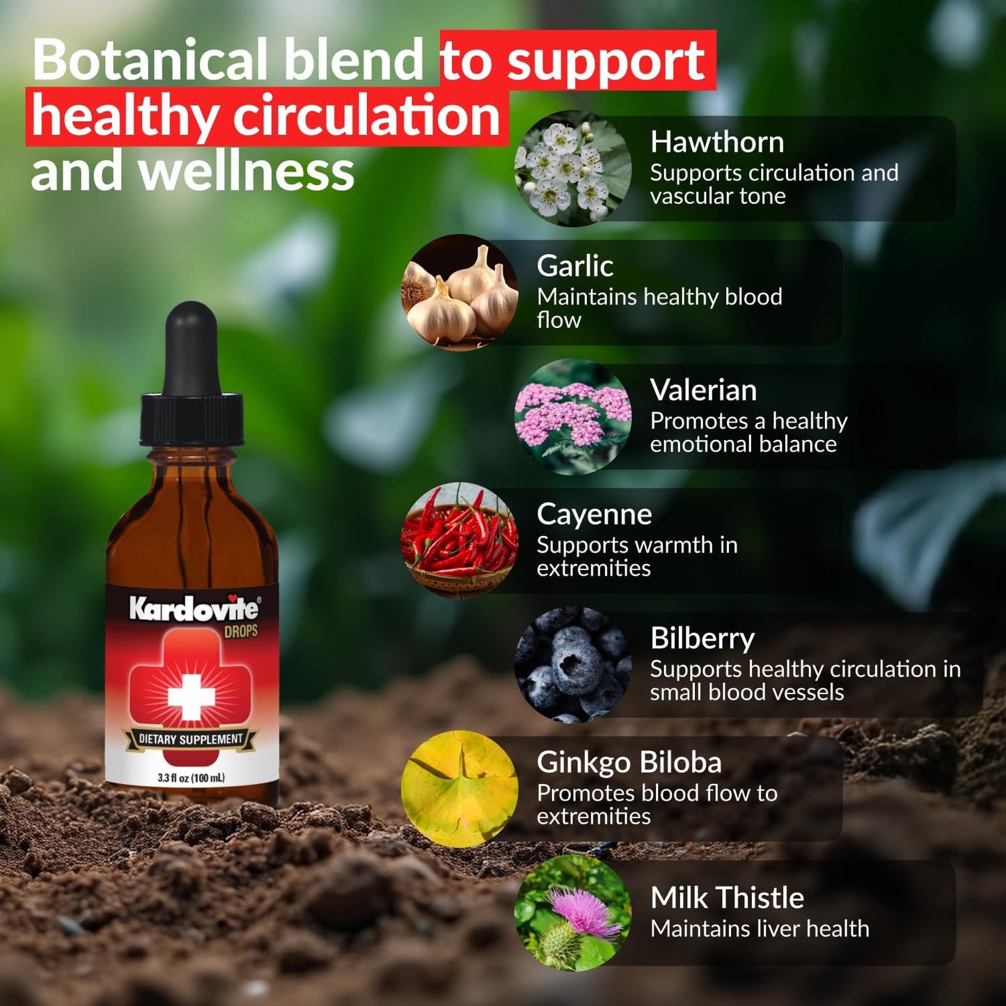 Herbal Circulation Support Drops 100ml | Supports Circulatory Wellness with Hawthorn, Garlic, Ginkgo, Cayenne, Milk Thistle, Bilberry & Valerian | Supports Vitality & Daily Wellness
