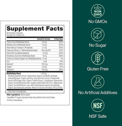 MitoMultiply – Mitochondrial Support with Glutathione, SOD, Catalase, NADH, Bacillus Subtilis – Boosts Cellular Energy, Absorption, Bioavailability – 60 Capsules