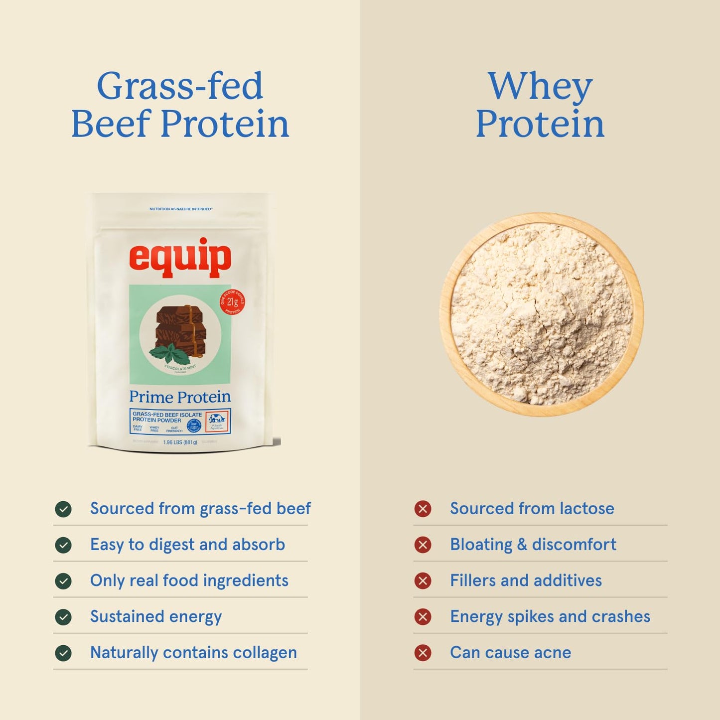 Equip Prime Chocolate Protein Powder - Gut-Friendly, No Sugar Protein Shake Powder with Grass-Fed Beef & Natural Collagen - Rich & Creamy Mix - 21g Per Serving - Whey & Dairy-Free (30 Scoops)