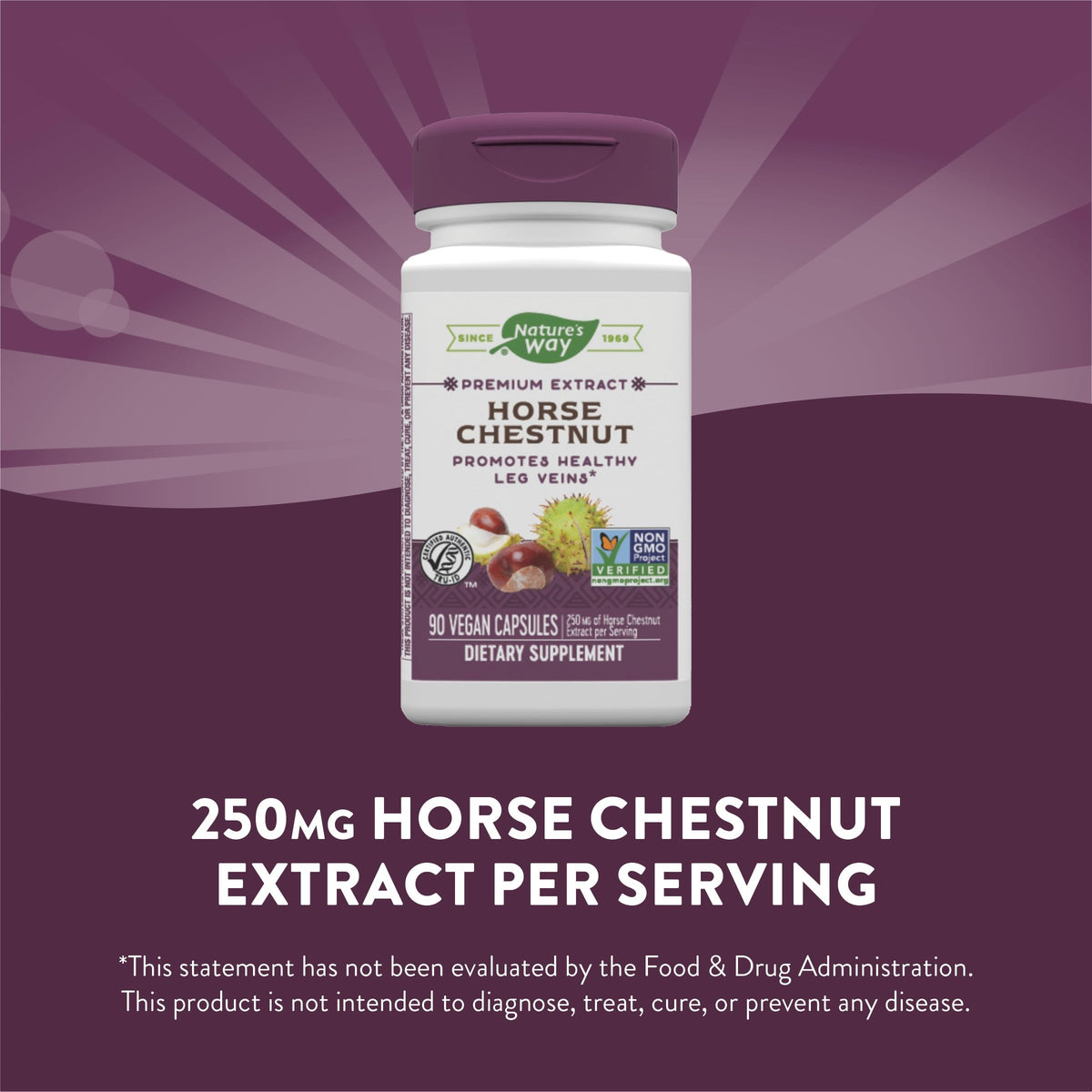 Nature's Way Standardized Horse Chestnut, Premium Extract for Healthy Veins and Blood