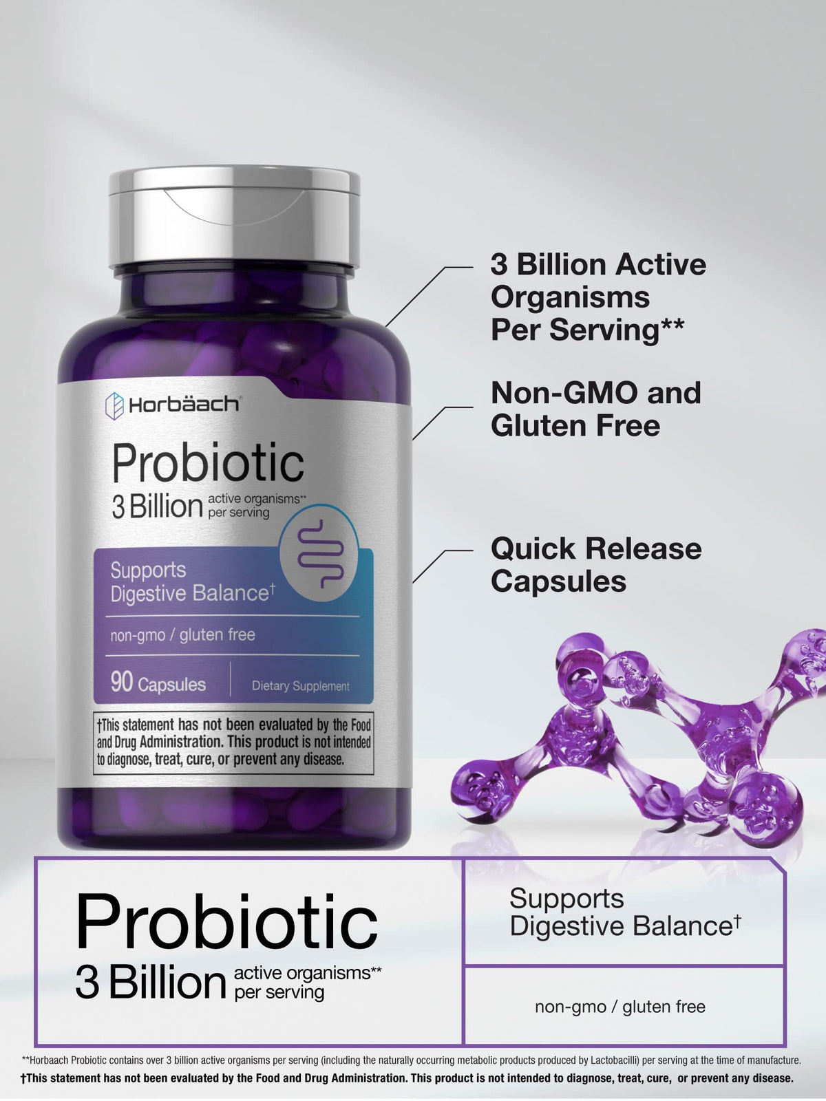 Probiotic for Women & Men's Digestive Health | 3 Billion CFU | 90 Capsules | Non-GMO