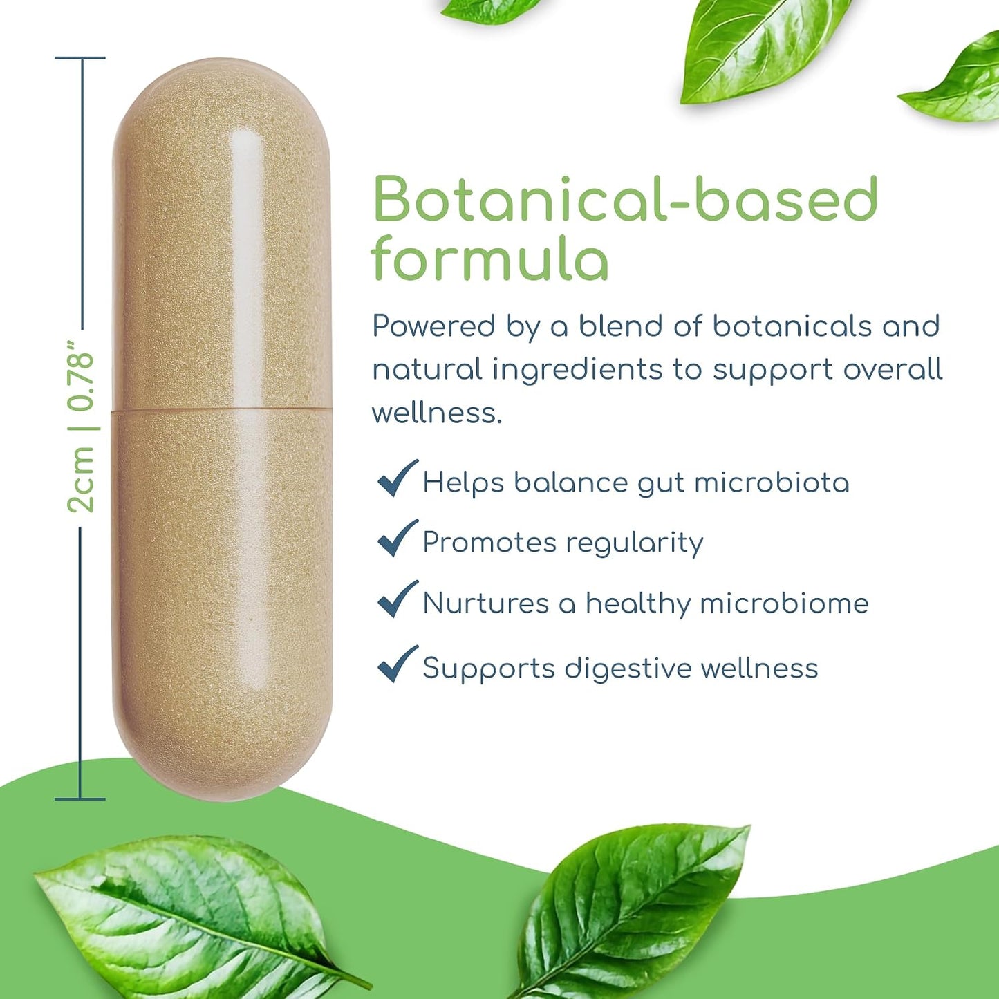 Microbiome Balance – Gut Health Supplement for Women and Men with Monolaurin & Caprylic Acid – Supports Digestive Wellness & Healthy Gut Environment – 120 Capsules
