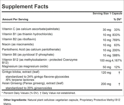 ANDREW LESSMAN Ginkgo 120 Plus Ginseng 200mg - 60 Capsules - Standardized Extract Blend to Support Brain, Memory and Cognitive Function. Adaptogen, Combats Stress and Fatigue. No Additives