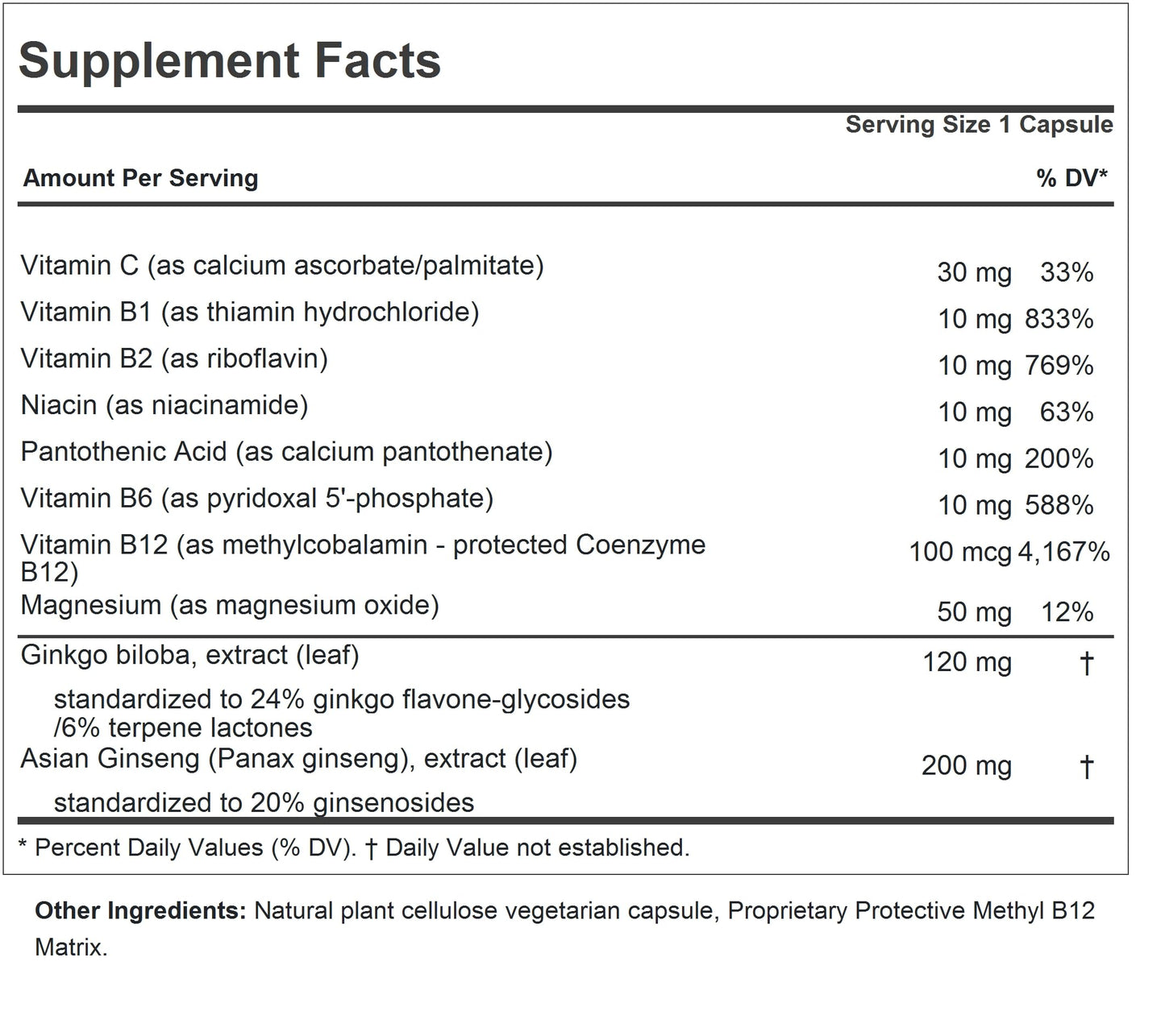 ANDREW LESSMAN Ginkgo 120 Plus Ginseng 200mg - 60 Capsules - Standardized Extract Blend to Support Brain, Memory and Cognitive Function. Adaptogen, Combats Stress and Fatigue. No Additives